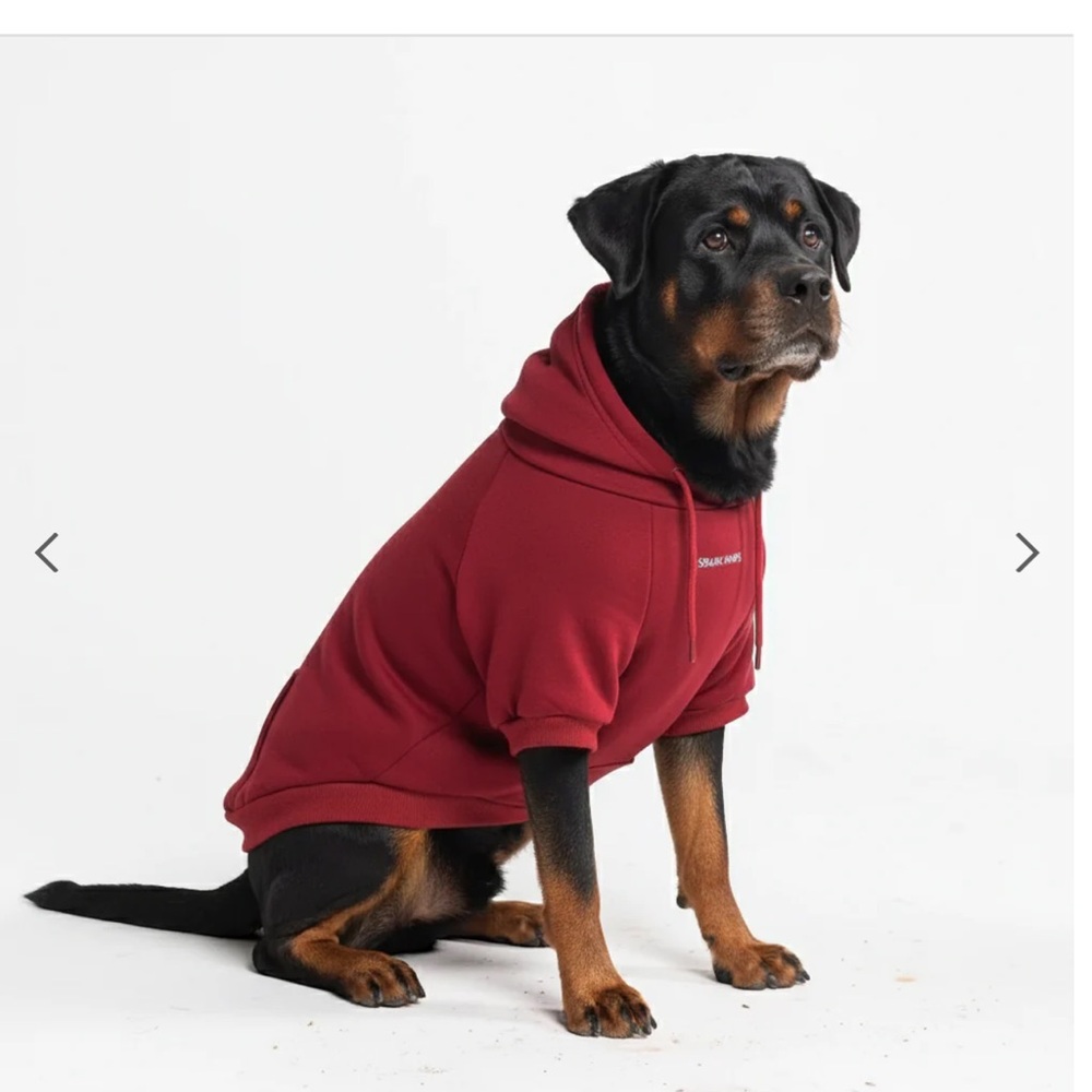 Spark paws HOODIE